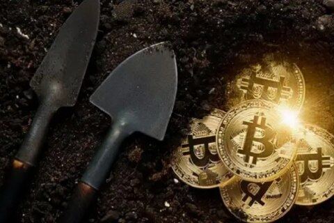 2022维卡币升值表(2020年维卡币情况)-第1张图片-欧意下载