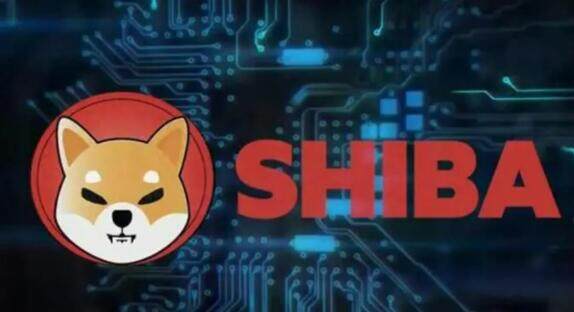 2022年有人收维卡币吗(2022年维卡币商城）-第1张图片-欧意下载