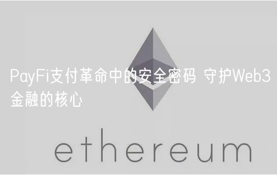 PayFi支付革命中的安全密码 守护Wb3金融的核心