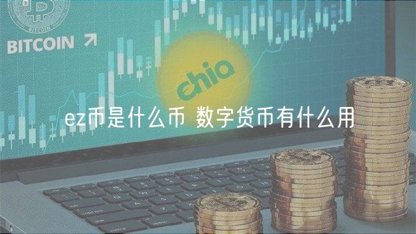 z币是什么币 数字货币有什么用