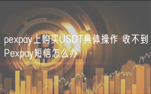 ppay上购买USDT具体操作 收不到Ppay短信怎么办