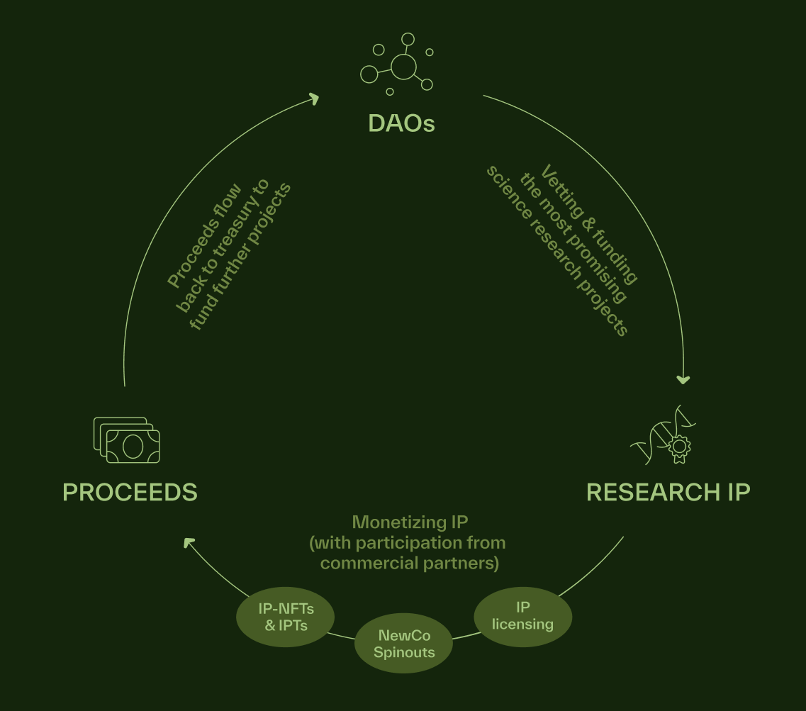 binance力推DeSci平台BIO Protocol：估值究竟有多高？