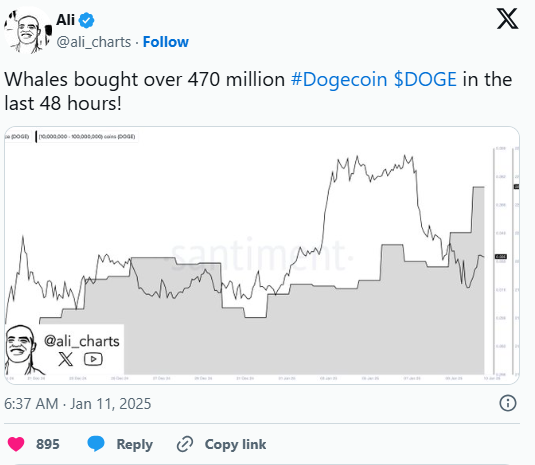 狗狗币(DOGE)三大看涨信号齐现,暴涨之旅即将开启?