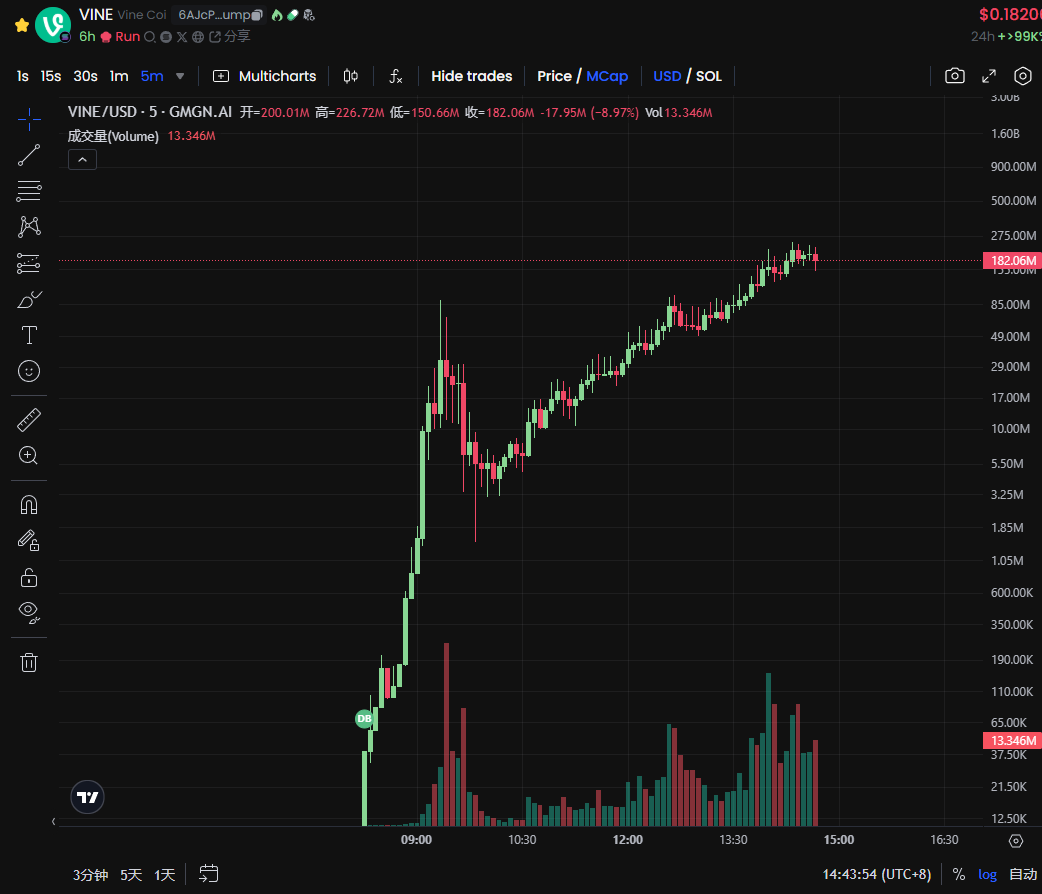 金狗归来：热门VINE与Ainti背后的精彩故事揭秘