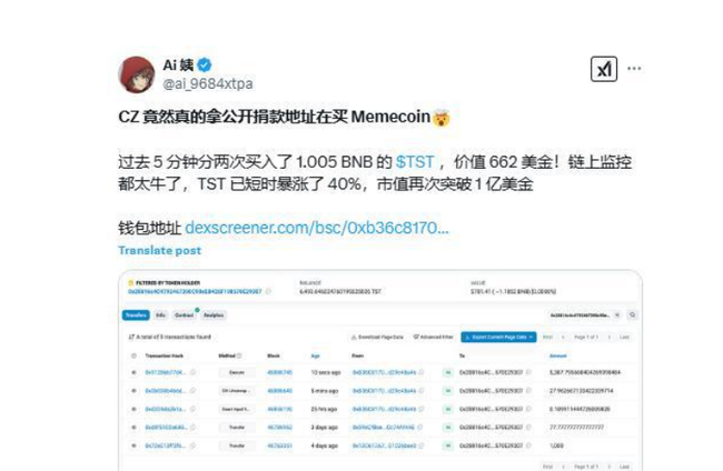 华人首富涉足迷因币！TST币飙升75%，意在挽回罚款损失？